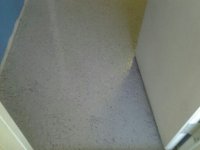 Gray Garage Floor with Flakes